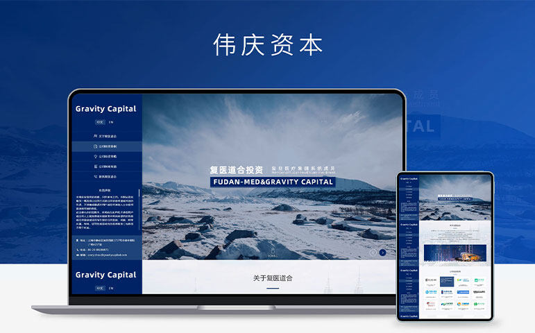 网站案例缩略图