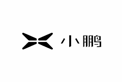 搜索营销：小鹏汽车